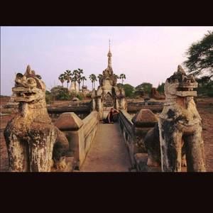 Meet your Posher, Selin